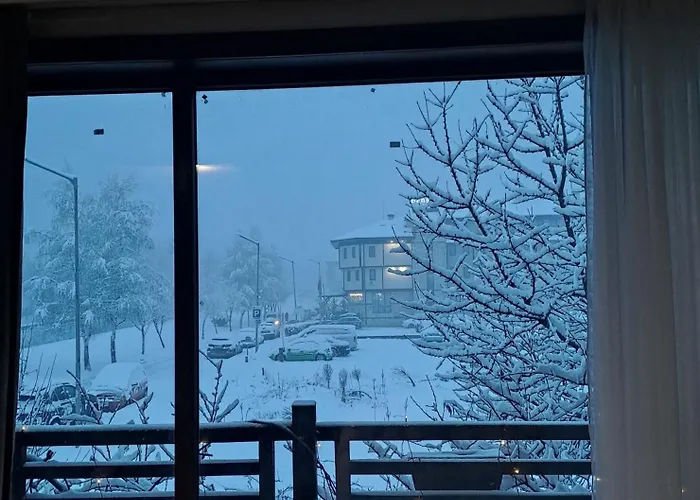 Pensiune цветелина и митко 3*