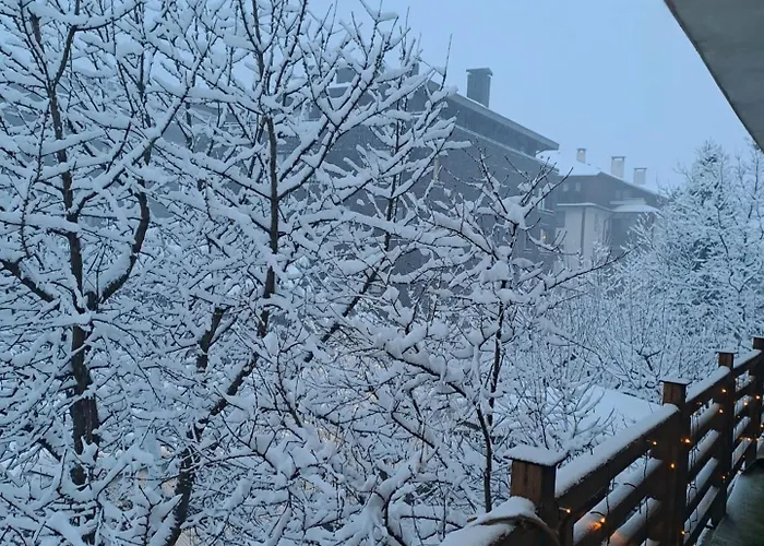 Guest house цветелина и митко Bansko