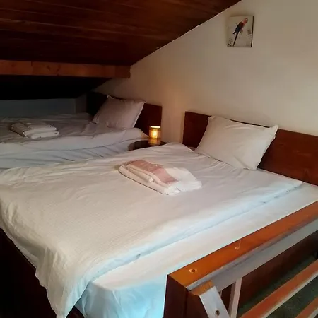 Homely Bansko