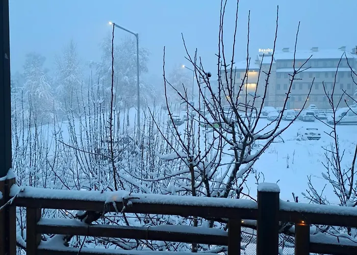 цветелина и митко * Bansko