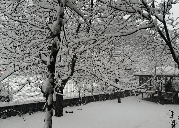 Гостевой дом цветелина и митко *